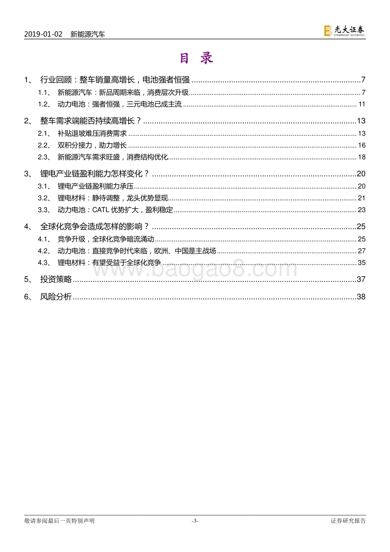 新能源汽车行业2019年投资策略：龙头引领，全球化来袭.pdf_第3页