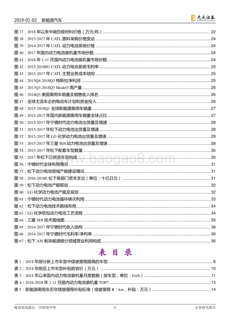 新能源汽车行业2019年投资策略：龙头引领，全球化来袭.pdf_第5页