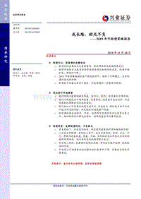 2019年可转债年度策略：成长路，韶光不负.pdf