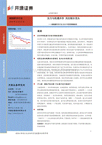 新能源汽车行业2019年投资策略报告：压力与机遇并存，关注细分龙头.pdf