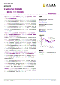 港股市场2019年投资策略：受益新兴市场边际改善.pdf