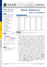 计算机行业2019年度投资策略报告：柳暗花明，聚焦高成长龙头.pdf