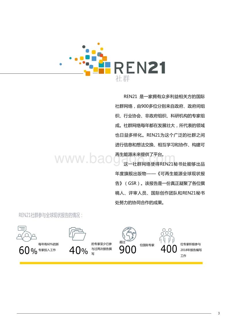 2018可再生能源全球现状报告：推进全球可再生能源转型.pdf_第3页