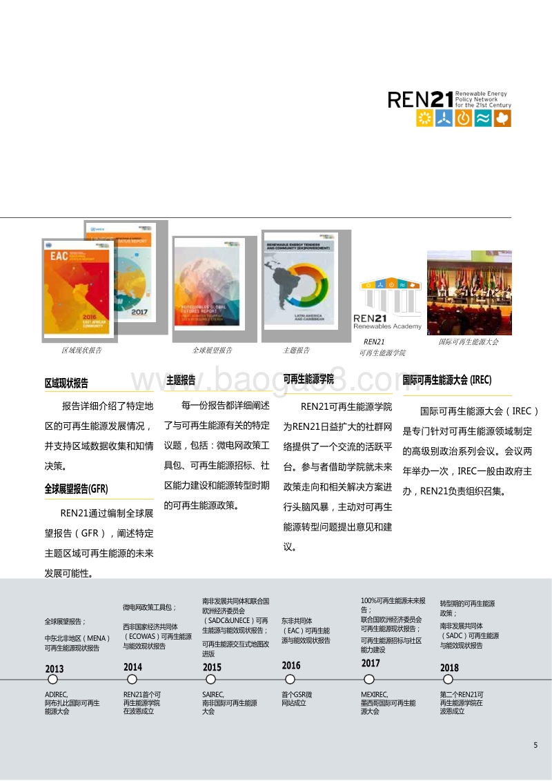2018可再生能源全球现状报告：推进全球可再生能源转型.pdf_第5页