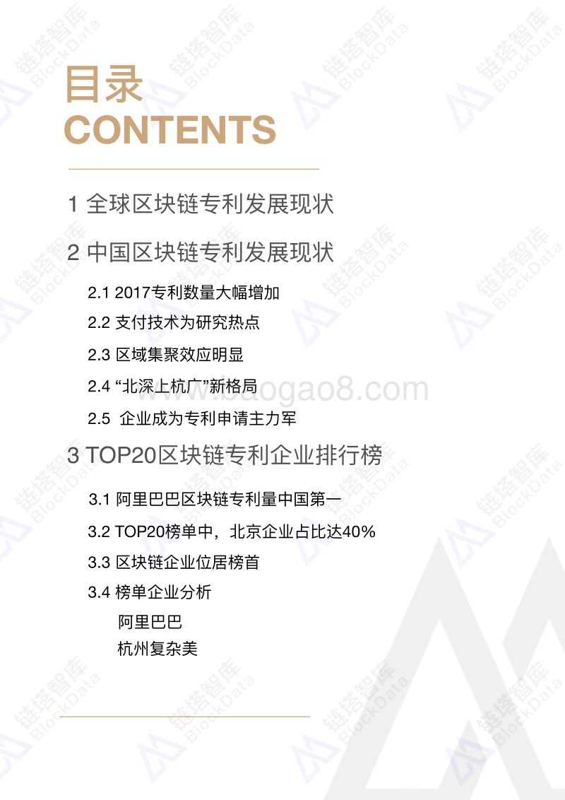 2019中国区块链产业年鉴专利篇.pdf_第2页