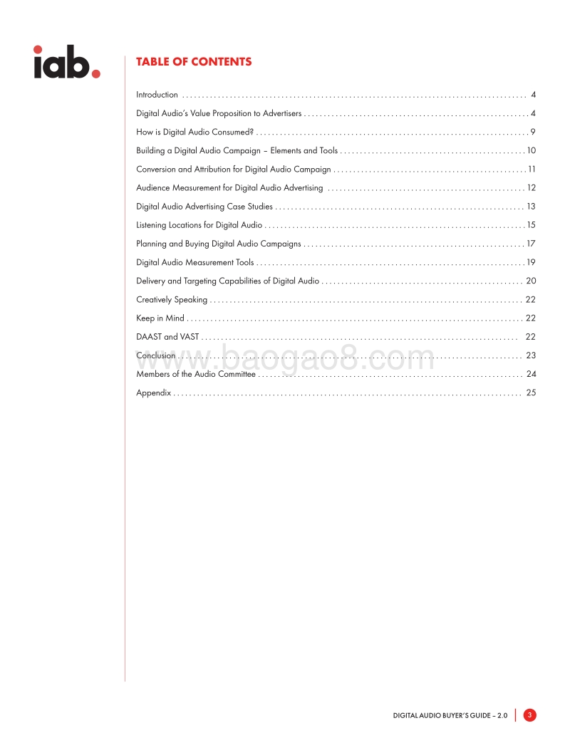2019年网络音频买家指南2.0.pdf_第3页