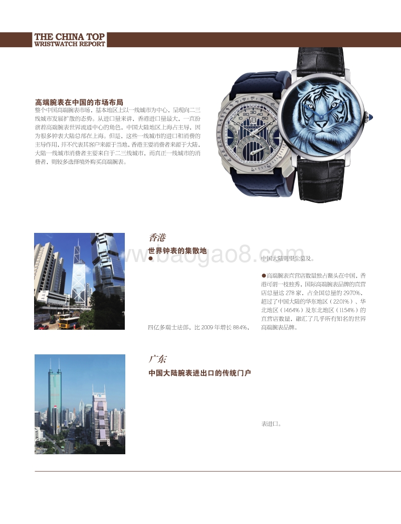 中国高端腕表报告.pdf_第5页