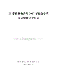 XX市森林公安局2017年森防专项资金绩效评价报告.doc