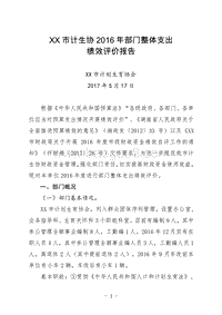 XX市计生协2016年部门整体支出绩效评价报告.doc