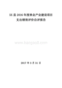 XX县2016年度林业产业建设项目支出绩效评价自评报告.doc