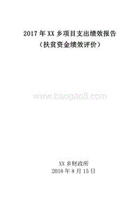2017年XX乡项目支出绩效报告（扶贫资金绩效评价）.doc