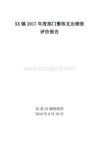 XX镇2017年度部门整体支出绩效评价报告.doc