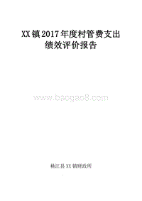XX镇2017年度村管费支出绩效评价报告.doc