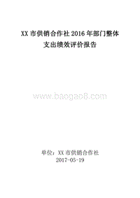 XX市供销合作社2016年部门整体支出绩效评价报告.doc