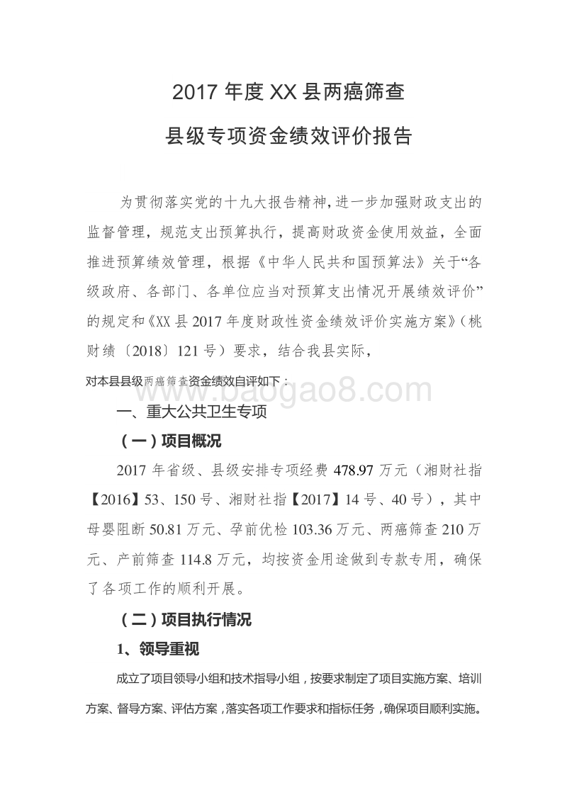 2017年度XX县两癌筛查县级专项资金绩效评价报告.doc_第2页