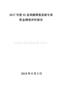 2017年度XX县两癌筛查县级专项资金绩效评价报告.doc