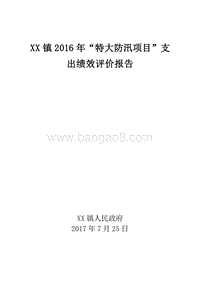 XX镇2016年“特大防汛项目”支出绩效评价报告.doc