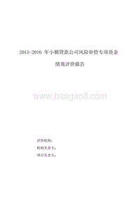 2015-2016年小额贷款公司风险补偿专项资金绩效评价报告.doc