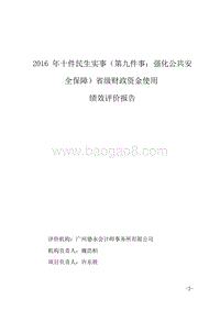 2016年强化公共安全保障省级财政资金使用绩效评价报告.doc