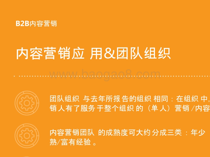2018-2019年B2B内容营销研究报告.pptx_第5页