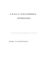 XX省2016年十件民生实事财政资金使用绩效评价报告.doc