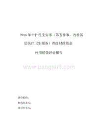 2016年十件民生实事改善基层医疗卫生服务省级财政资金使用绩效评价报告.doc