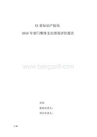 XX省知识产权局2016年部门整体支出绩效评价报告.doc