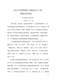 2018年贫困残疾人康复民生工程绩效评价报告.doc
