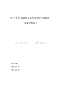 2016年最低生活保障补助专项绩效评价报告.doc