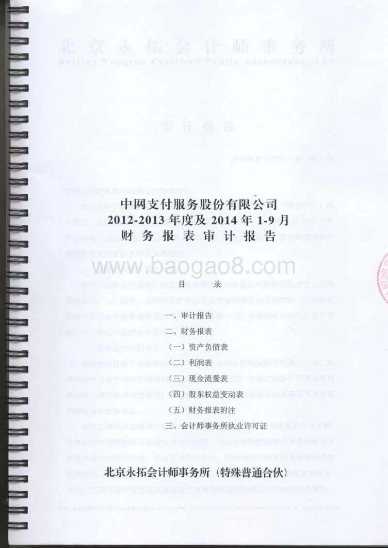 九恒星审计报告-20150318.pdf_第1页