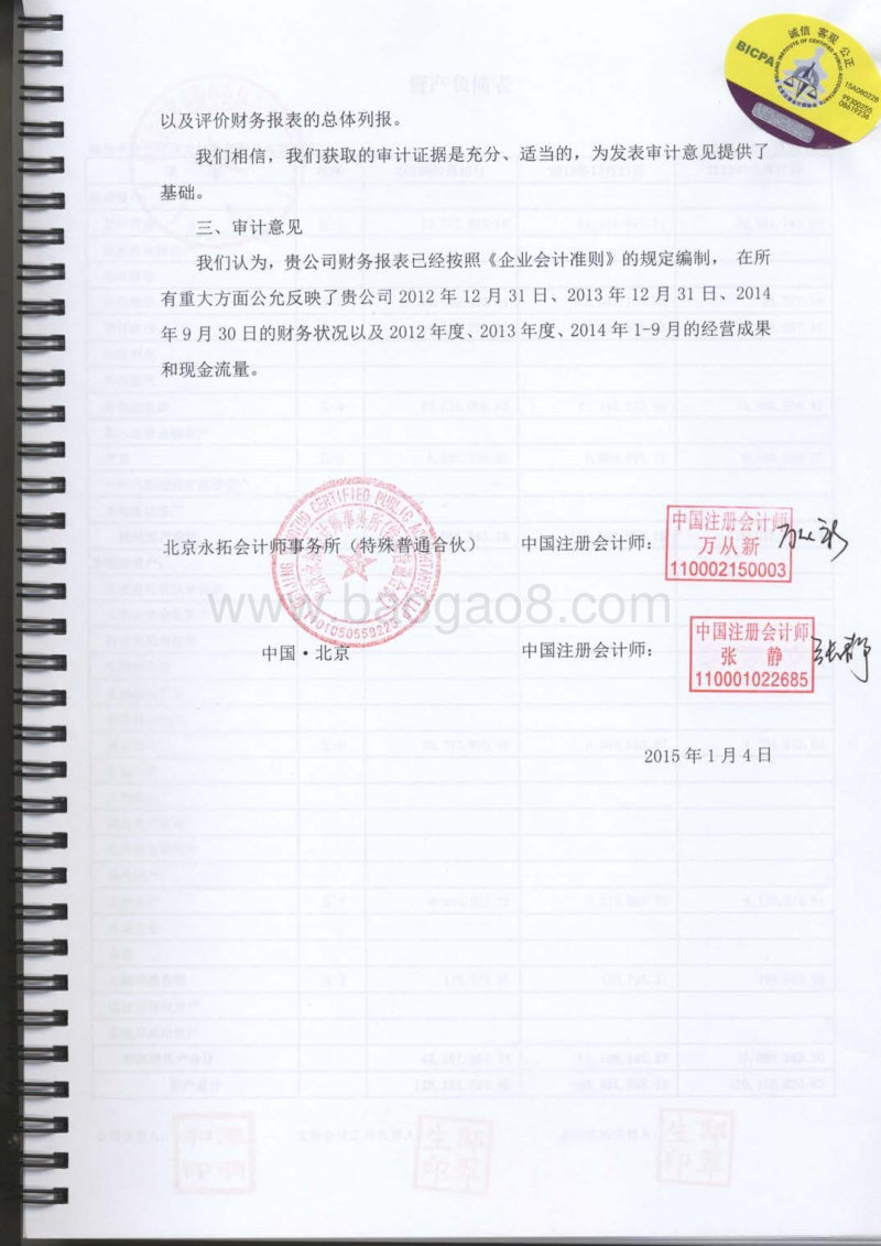 九恒星审计报告-20150318.pdf_第3页