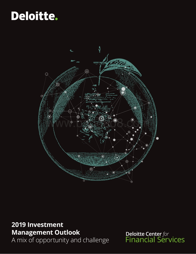 2019年投资管理展望（英文版）.pdf_第1页