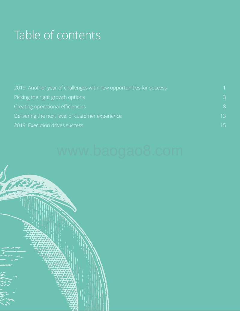 2019年投资管理展望（英文版）.pdf_第3页