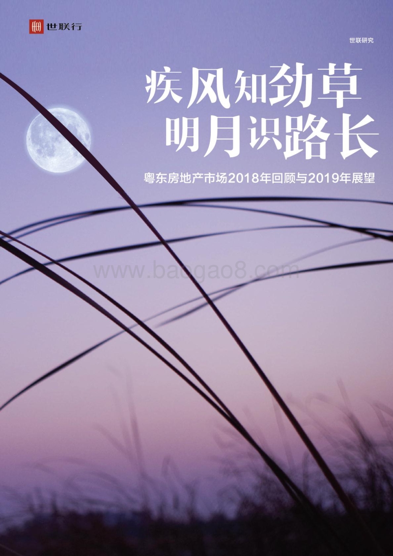 粤东房地产市场2018年回顾与2019年展望.pdf_第1页