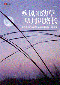 粤东房地产市场2018年回顾与2019年展望.pdf