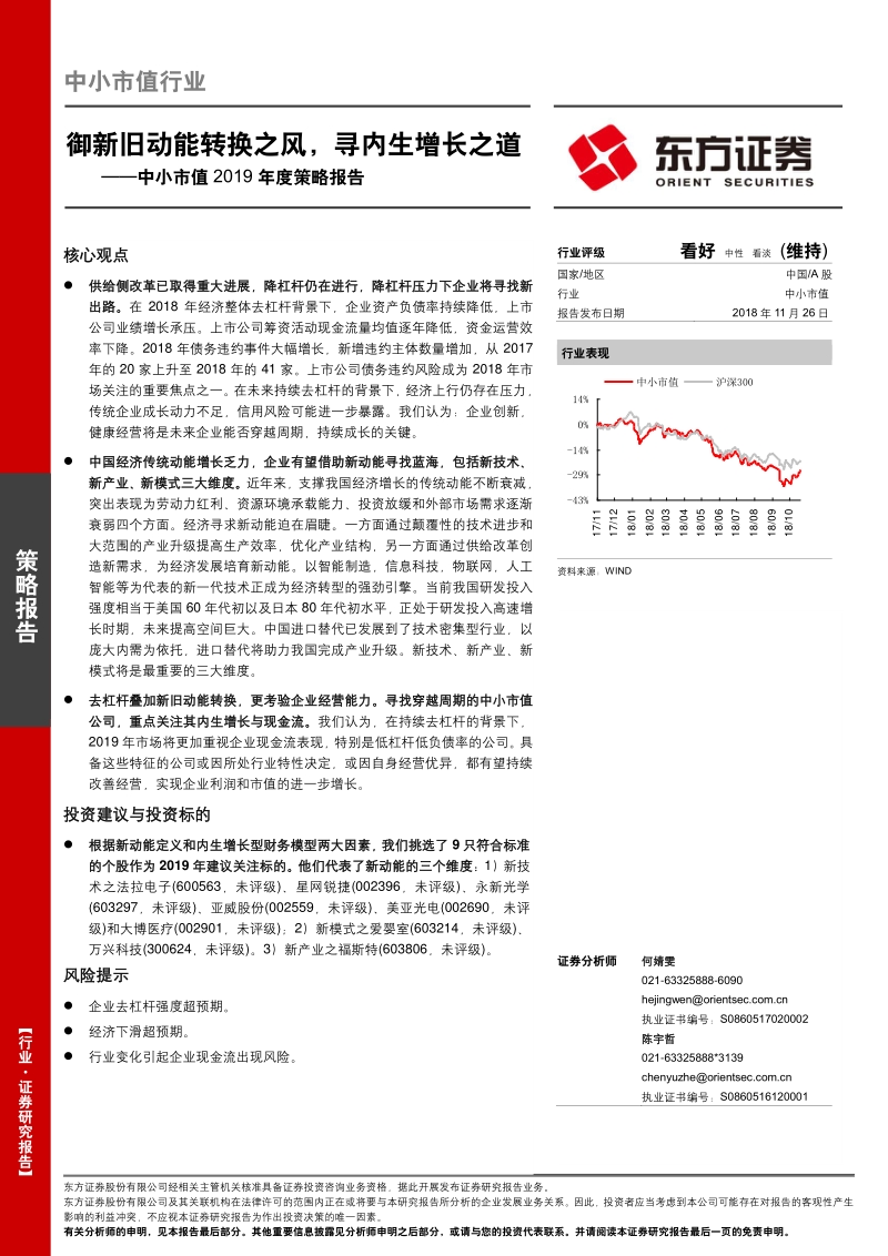 中小市值2019年度策略报告：御新旧动能转换之风，寻内生增长之道.pdf_第1页