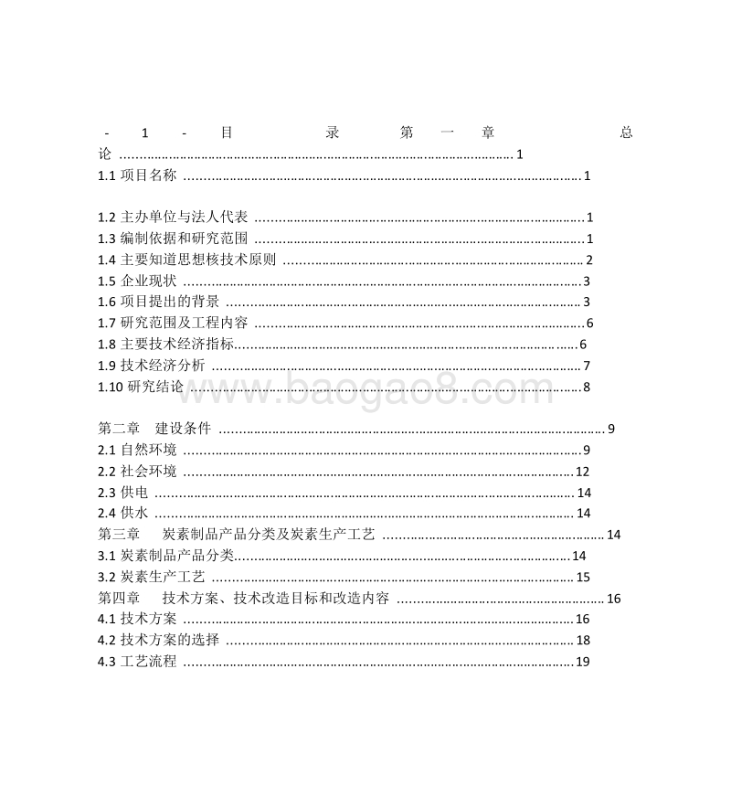 炭素项目可行性研究报告.doc_第1页