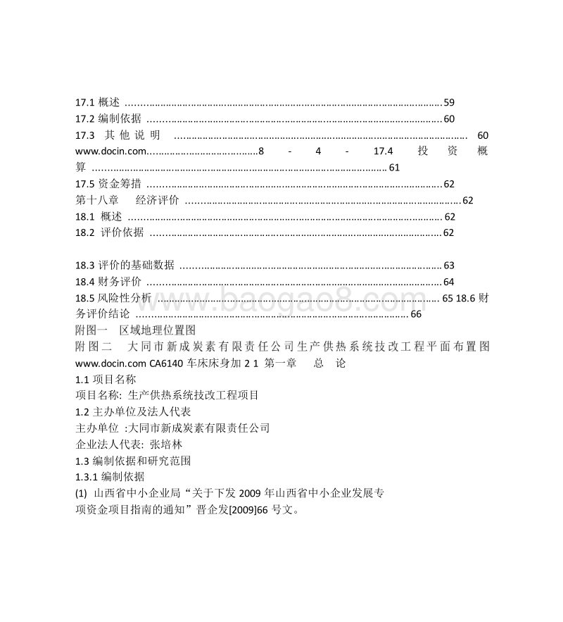 炭素项目可行性研究报告.doc_第5页