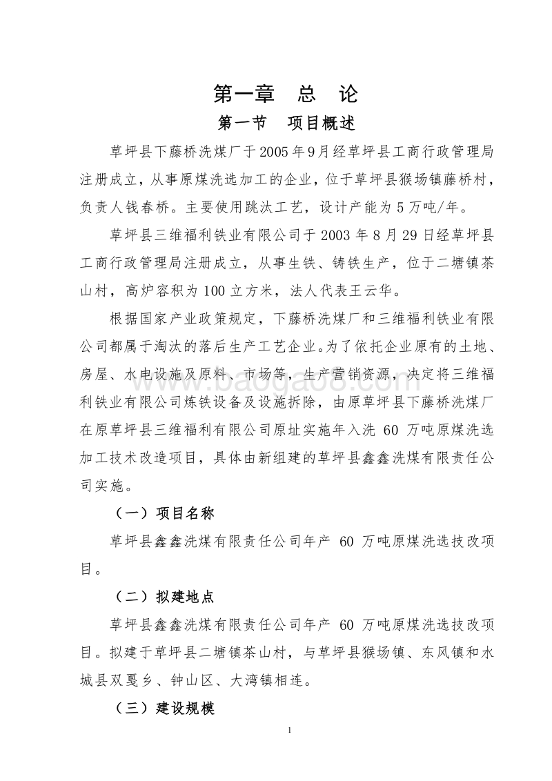 年入洗原煤60万吨技改工程项目可行性研究报告.doc_第1页