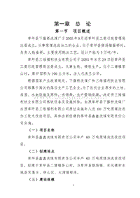 年入洗原煤60万吨技改工程项目可行性研究报告.doc