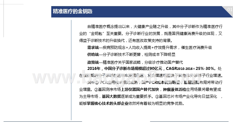 2019年精准医疗行业分子诊断市场分析报告.pptx_第2页