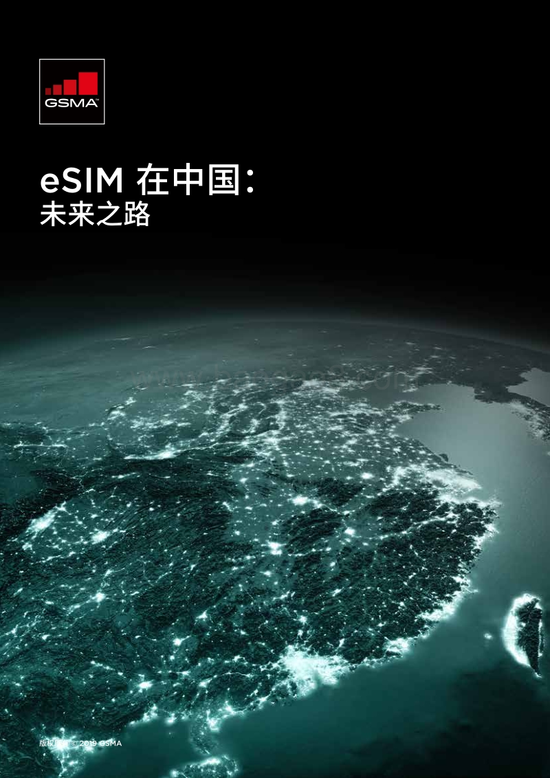 eSIM在中国：未来之路.pdf_第1页