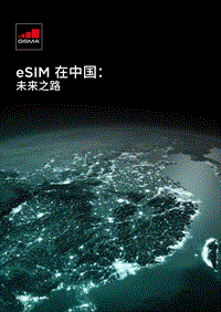 eSIM在中国：未来之路.pdf