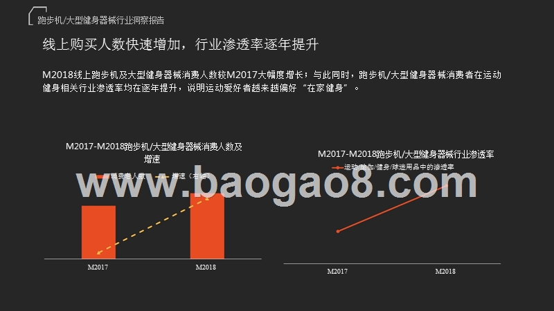 2019天猫大型健身器械消费趋势研究报告.pptx_第3页