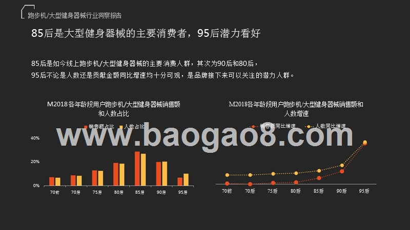 2019天猫大型健身器械消费趋势研究报告.pptx_第5页