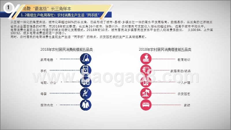 2019长三角精致生活一体化分析报告.pptx_第4页