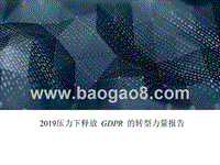 2019压力下释放GDPR的转型力量报告.pptx