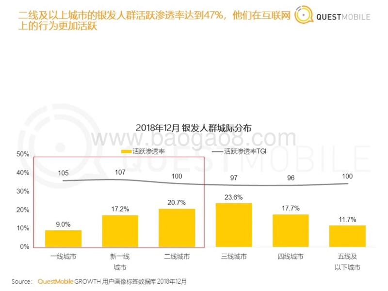 2019银发人群洞察报告.pdf_第4页