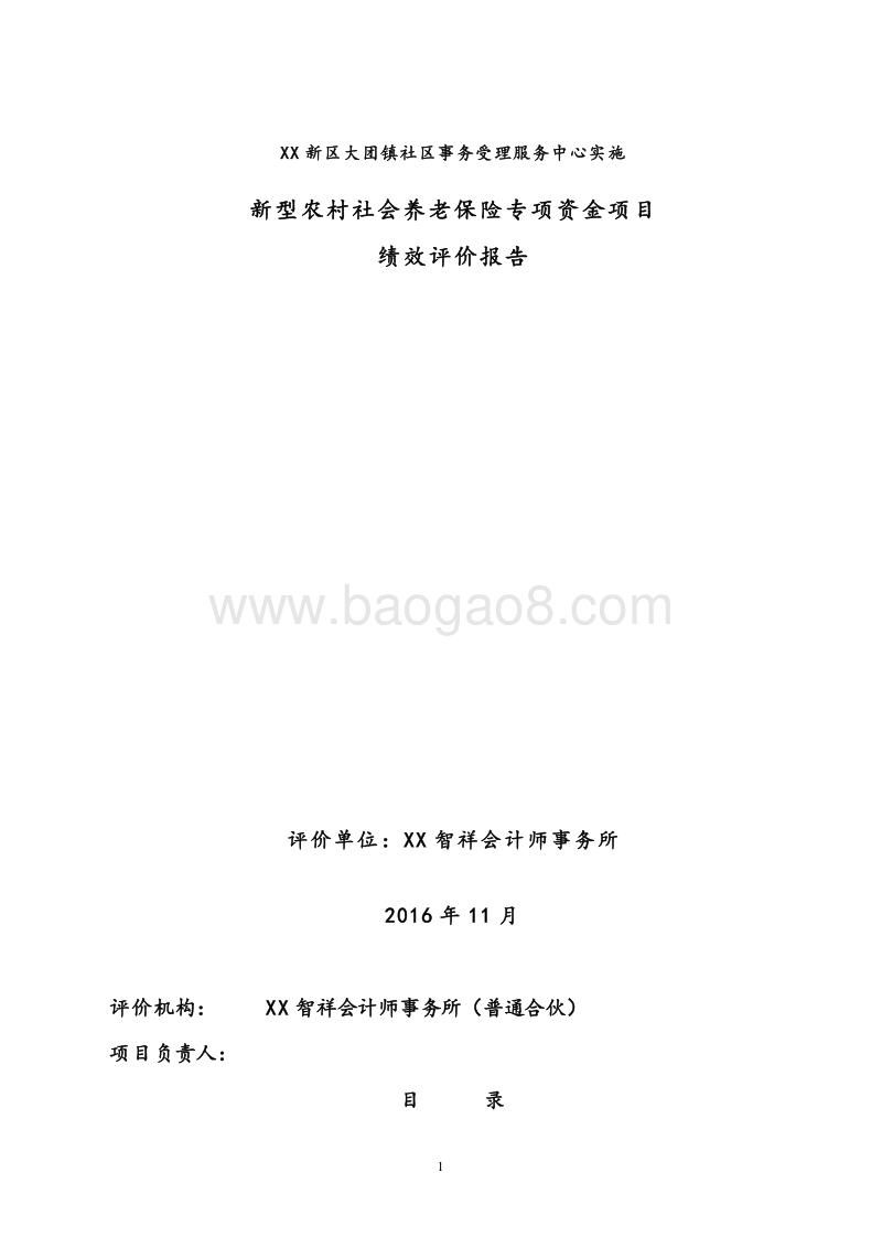 大团镇新型农村社会养老保险专项资金项目绩效评价报告.doc_第1页