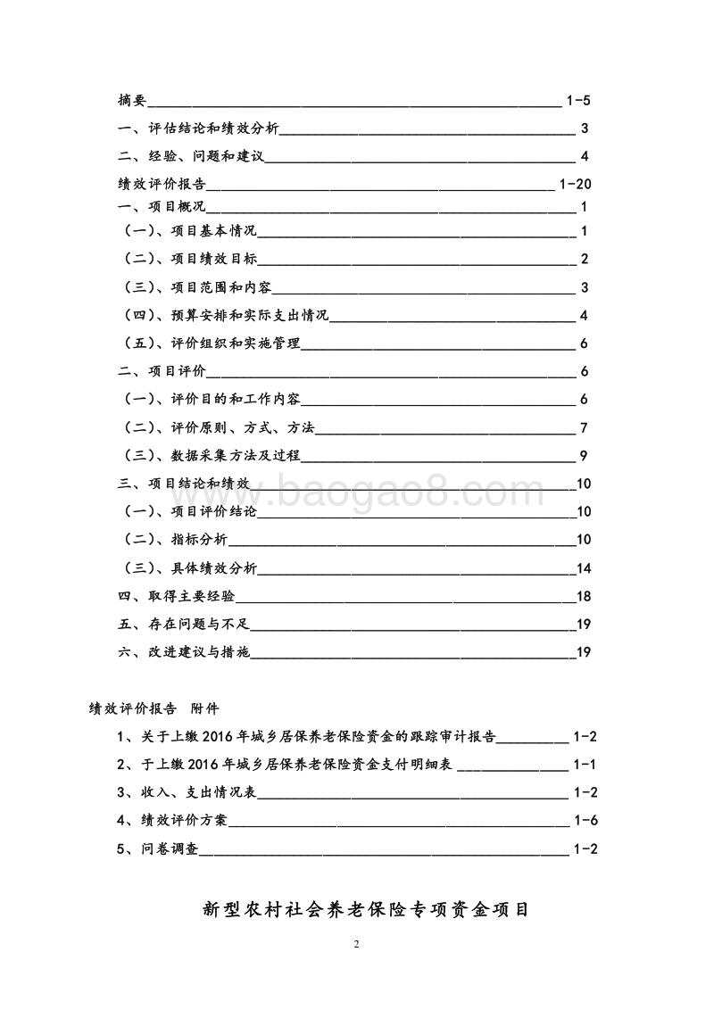 大团镇新型农村社会养老保险专项资金项目绩效评价报告.doc_第2页